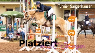 PLATZIERT im A** Springen 🥈🥳 I Turnier Sangerhausen Teil 1