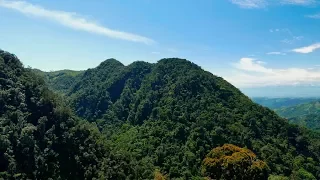 Parque Natural Nacional Selva de Florencia Caldas-Colombia  - TvAgro por Juan Gonzalo Angel