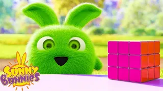 Complete the Magic Cube | SUNNY BUNNIES | Cartoons for Kids | WildBrain Bananas