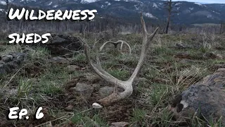 2024 Shed Hunting | Backpack Wilderness Shed Hunt