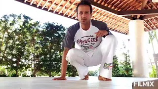 MOVIMENTAÇÃO BÁSICA NA RODA DE CAPOEIRA.