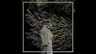 Forest Swords - Engravings