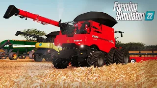 PRIMEIRA COLHEITA DE TRIGO DO NOVO CAMPO GIGANTE 🤠| Farming Simulator 22 | AMIGOS DO FS | ep.69