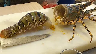 $200 Giant Rainbow Lobster Sashimi -Taiwan Seafood