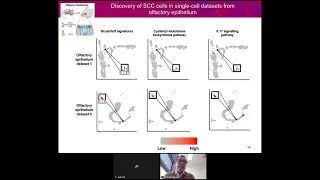 Singleron: advancing clinical interpretation from single cell sequencing datasets_2022 02 22