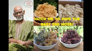 Dr. Sebi Sea Moss Guide | Find the Best Irish Moss / Sea Moss on the Internet | for Sea Moss Gel