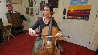 String Crossing on the Cello, 101