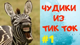 Чудики из тик ток | Лучшие приколы тик ток | Тик ток лучшее | Приколюха, ржака