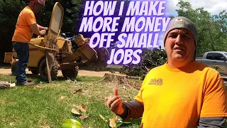 How I Make More Money Off Small Stump Grinding Job