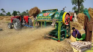 Incredible Traditional Village Life Pakistan | Wheat Harvesting Method | Old Culture Punjab