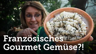 Köstliches mehrjähriges und winterhartes Gemüse: ganz einfache Kultur (auch für Töpfe)! 🤗🌱