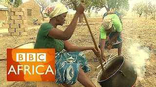 Shea butter in Ghana: Hard labour for smooth skin