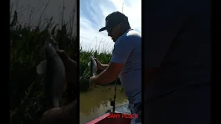 pesca en Río Paraná y Río dela Plata