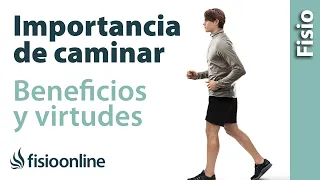 Andar o caminar - Virtudes y beneficios