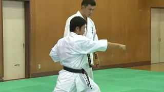 Gekisai Sho Kyokushin kan