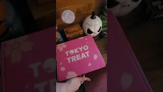 mystery Japan crate box vs Tokyo treat box