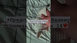 •Представляем Вашему Внимаю Айфон 14