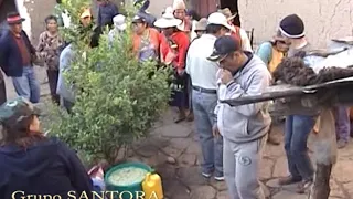 SANTORA BOLIVIA - TORACAREÑA