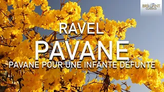 Ravel: Pavane