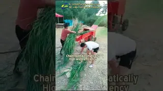 15t/h  Silage Chopper Cutting Green Corn Straws