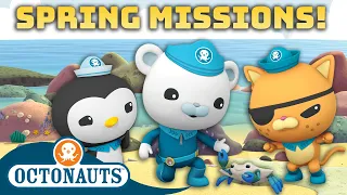 ​@Octonauts - Spring Missions 🌼 | 80+ Mins | Cartoons for Kids | Underwater Sea Education