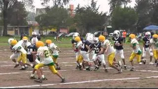 Patos Salvajes vs Tigres de Coacalco J3 Irons 2011.mpg