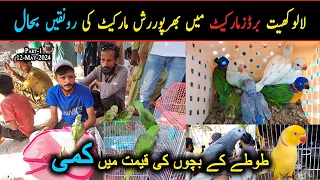 Lalukhet Birds Market 2024 Latest Update 12-May Part-1 | Birds Market Karachi | Danish Ahmed Vlogs