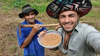 COISAS DA ROÇA COM JUNINHO GONÇALVES. PLATANDO FEIJÃO