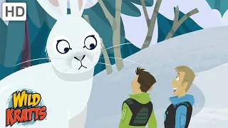 Winter Adventures Part 2 | Happy Holidays! | Wild Kratts