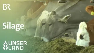 Konserviertes Futter: Silage | Unser Land | BR Fernsehen