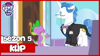 Spike Załatwia Sprawy w Imię Księżniczki | My Little Pony | Sezon 5 | Odcinek 10 | Księżniczka Spike