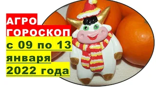 Агрогороскоп с 09 по 13 января 2022 года