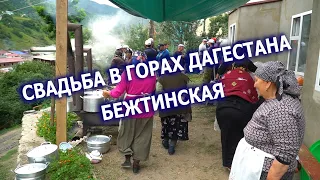 Пир на весь мир! (Сельская свадьба, природа и приятная музыка)