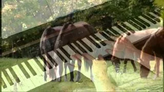 The Green Green Grass of Home - Piano