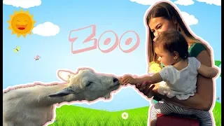 Ариша в зоопарке кормит животных | Контактный зоопарк | Adventure in Zoo