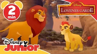 Løvenes Garde | Mizimu-holtet går tapt 🐊- Disney Junior Norge