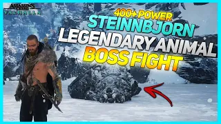 AC Valhalla - Steinnbjorn Legendary Animal Boss Fight (THOR'S Hammer Max Lvl Gameplay) 400+ Power