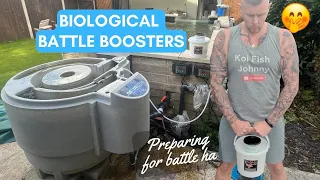 Biological filtration battle in my koi pond filter | Week 4/5 Boosters Deployed 🐠🐟🐡 #koipond