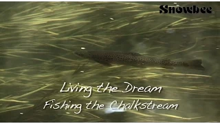 Ultimate Chalkstream Fly Fishing for Big Trout, small stream (WildernessTV)