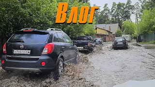 Чуть не утонули в машине. Что плохого в Московском зоопарке. - ВЛОГ