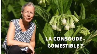 La consoude - comestible ?