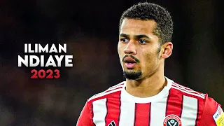 Iliman Ndiaye 2022/2023 ● Senegalese Starboy ● Crazy Skills And Goals | Sheffield United | HD