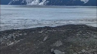 Awesome Alaska Bore Tide | Watching It Come In From Turnagain Arm