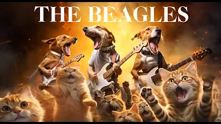 Rock Out with The Beagles!