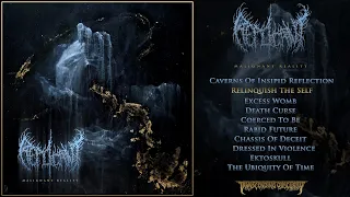 REPLICANT (US) - Malignant Reality FULL ALBUM STREAM (Death Metal) Transcending Obscurity