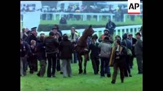 RED RUM SPECIAL - 1978 GRAND NATIONAL AND EXTRA SCENES  - NO SOUND - COLOUR