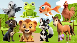 Lives of Animals : iguana, Cat, Lumber, Deer, Birds, Cow, Monkey, Lion. Duck, Camel, Giraffe, Rabbit