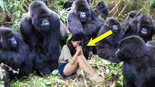 Эти гориллы схватили женщину в джунглях. То, что произошло дальше, поразит вас!