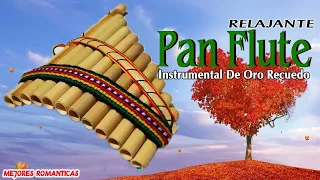 The Best Love Songs // Over 2 Hours Pan Flute Instrumental Music - Flute de Pan