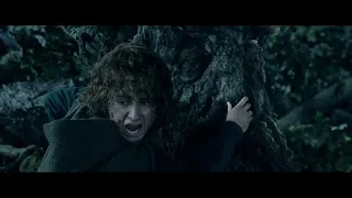 Ep 16. El Bosque de Fangorn (El Señor de los Anillos)